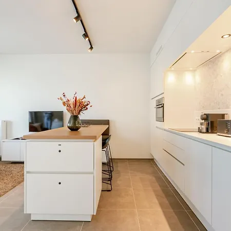 Huswell - Modern And Stylish With Terrace * Ostend