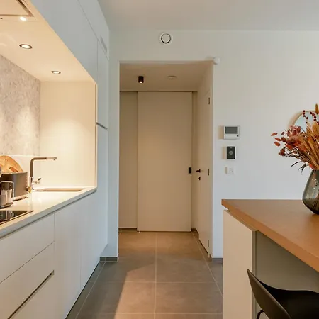 Huswell - Modern And Stylish With Terrace Ostend